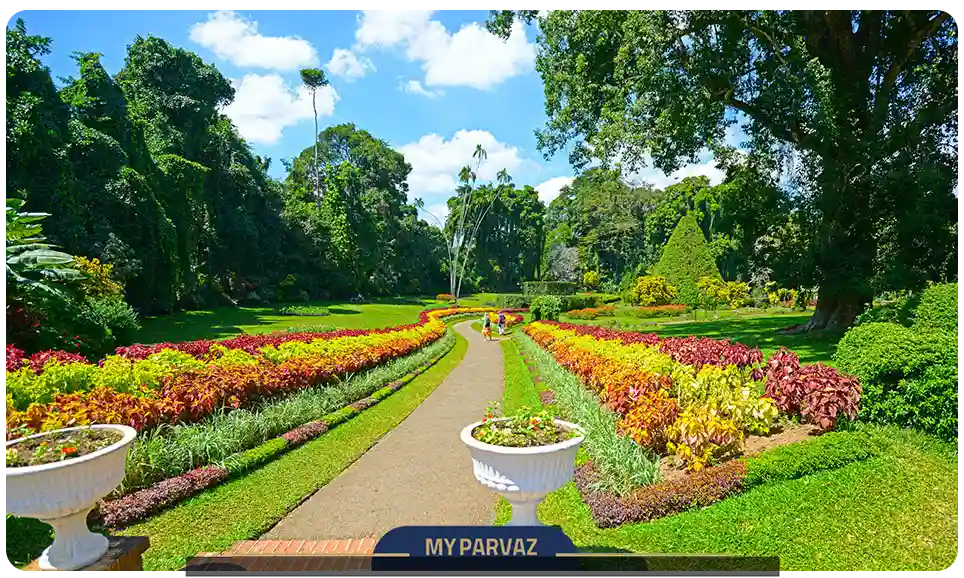 باغ گیاه شناسی سلطنتی پردانیا (Royal Botanical Gardens, Peradeniya) 